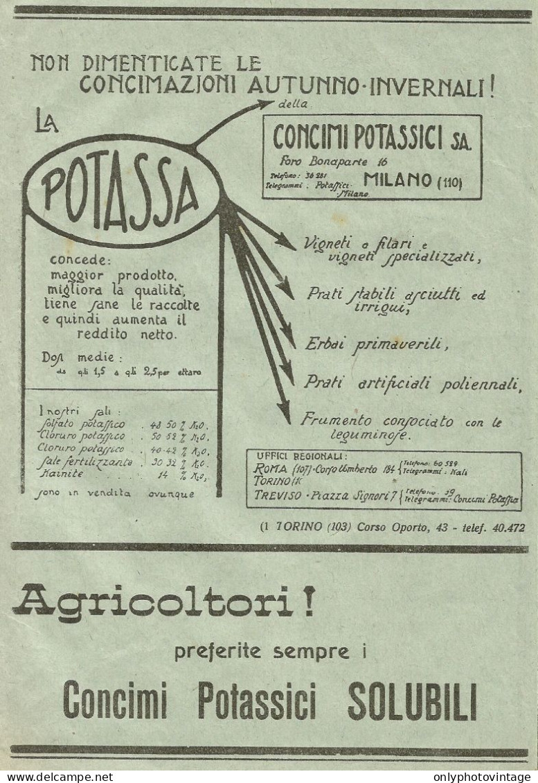 La Potassa - Concimi Potassici S.A. - Pubblicità 1930 - Advertising - Advertising