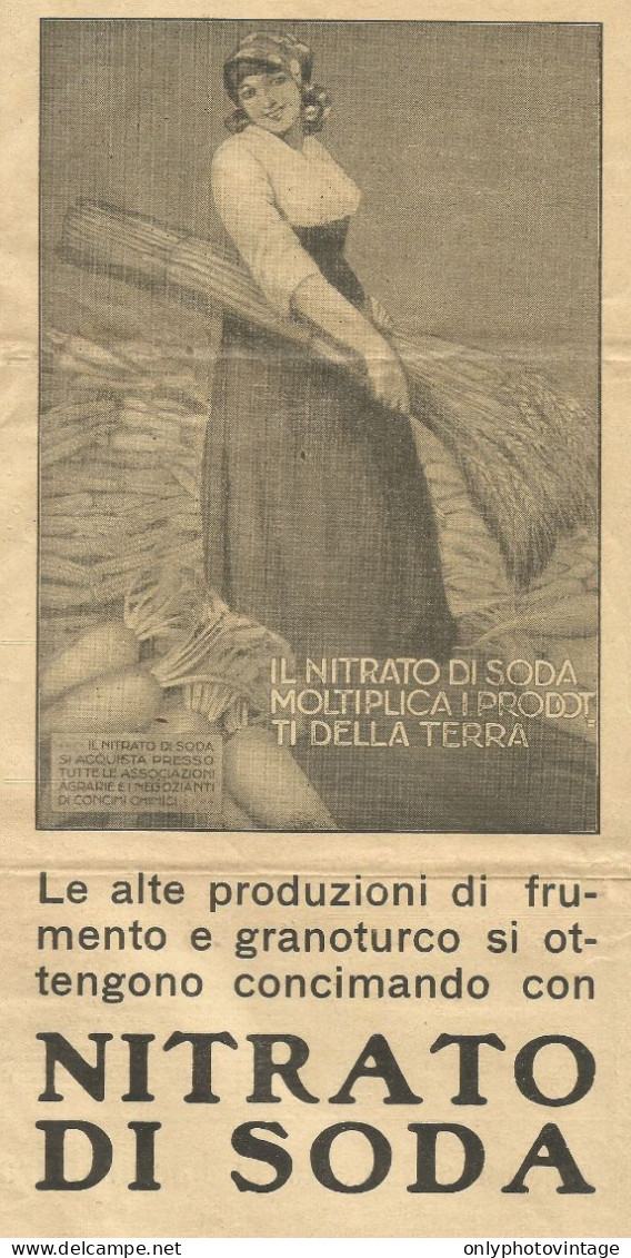 Nitrato Di Soda - Concime - Pubblicità 1930 - Advertising - Advertising