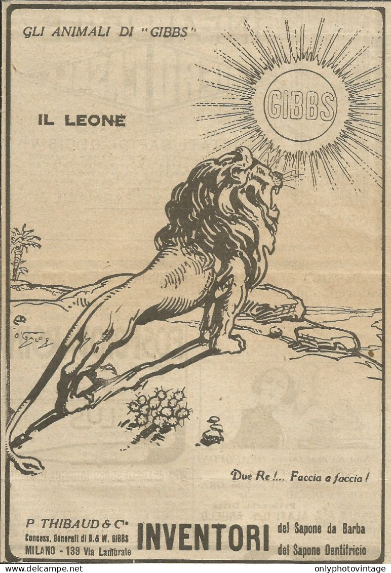 Gli Animali Di GIBBS - Il Leone - Pubblicità 1924 - Advertising - Advertising