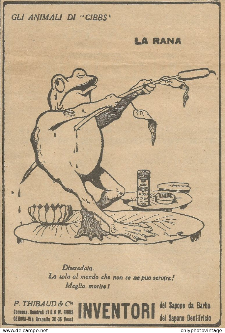 Gli Animali Di GIBBS - La Rana - Pubblicità 1924 - Advertising - Advertising