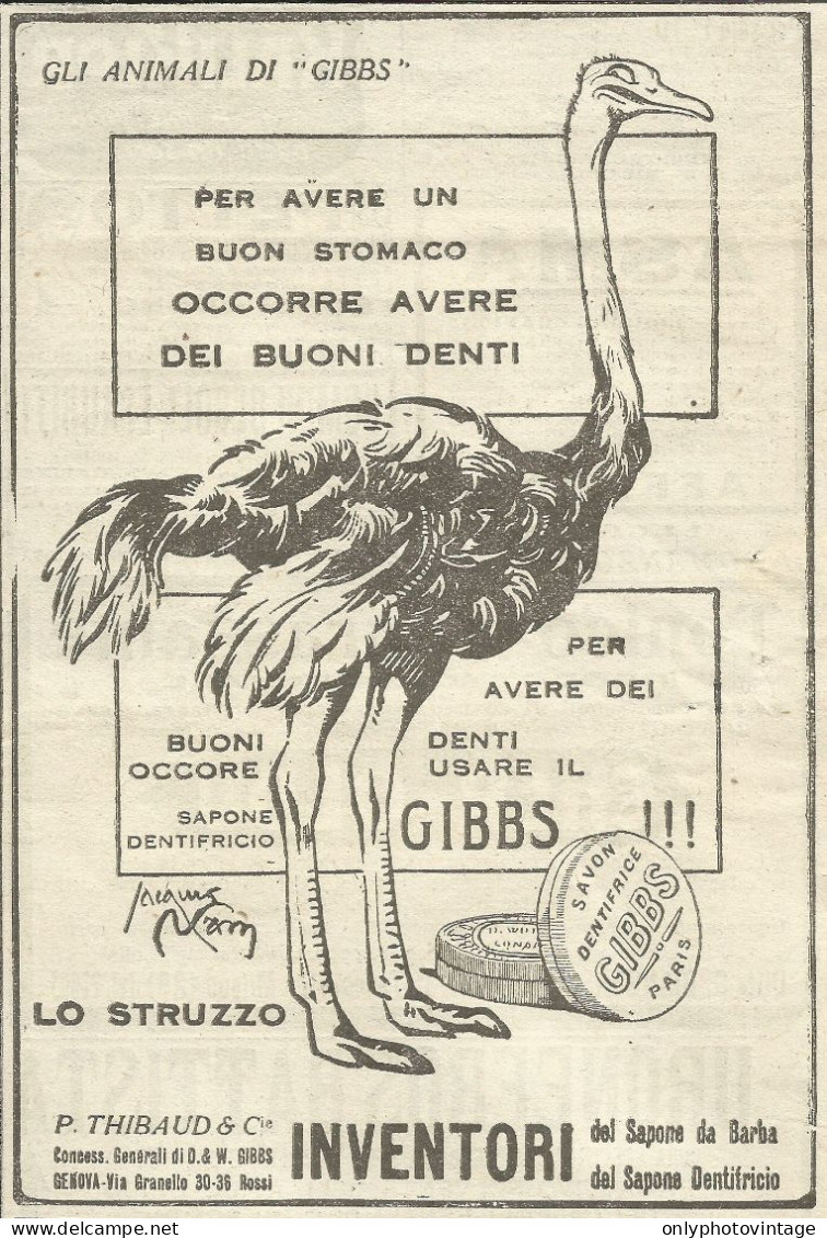 Gli Animali Di GIBBS - Lo Struzzo - Pubblicità 1924 - Advertising - Advertising