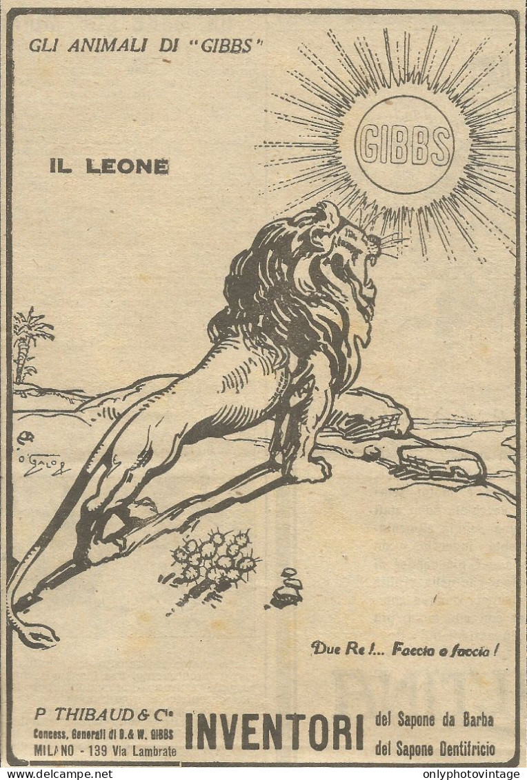 Gli Animali Di GIBBS - Il Leone - Pubblicità 1924 - Advertising - Advertising