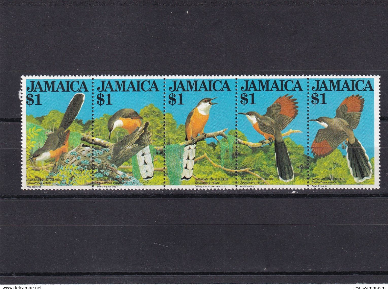 Jamaica Nº 563 Al 567 - Giamaica (1962-...)