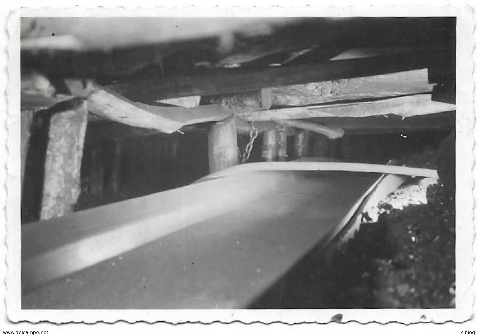 PHOTO - Couloir Oscillant Dans Un Chantier D'abattage   - Ft 9 X 6 Cm - Professions