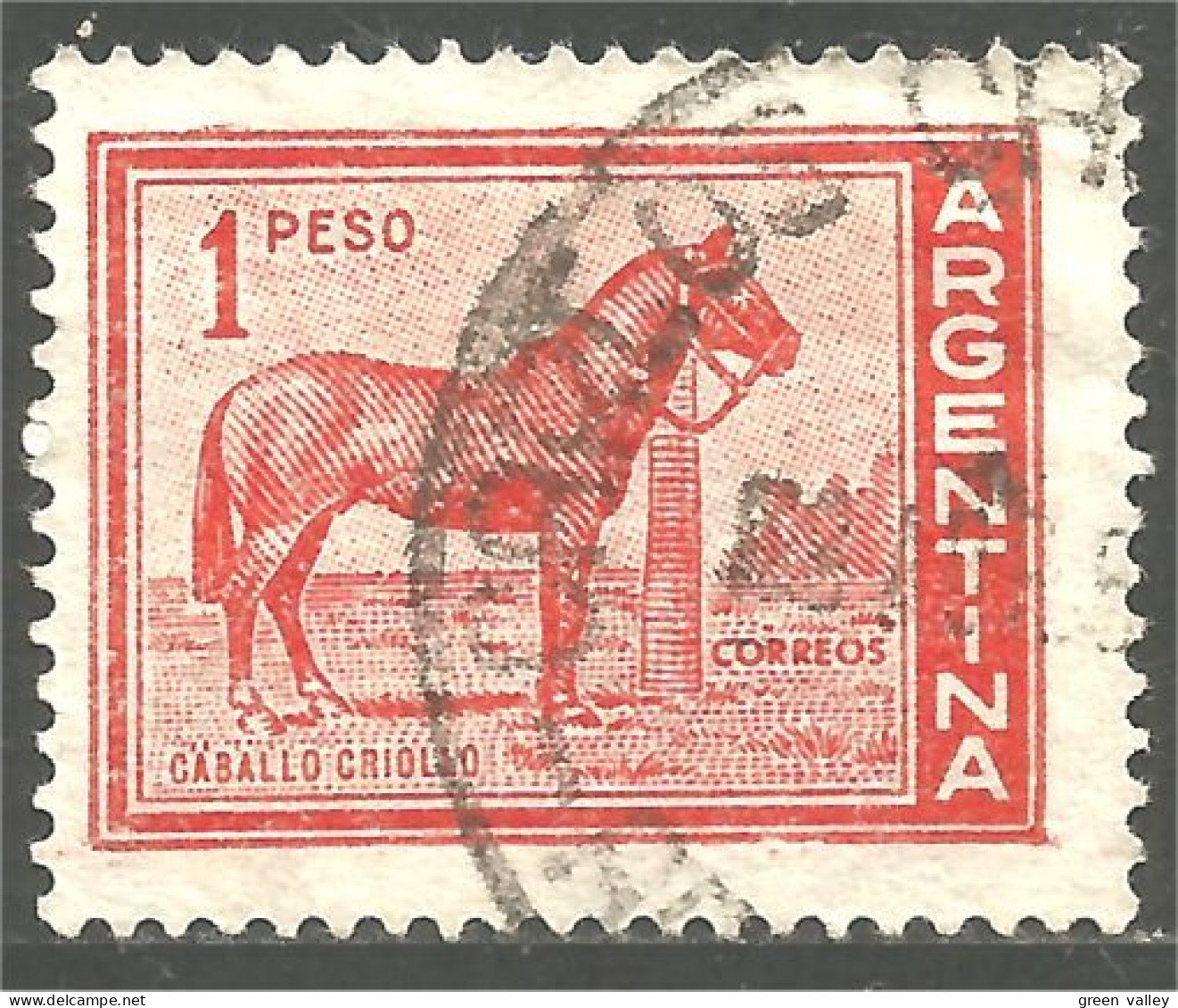 CH-4 Argentina Cheval Horse Pferd Caballo Cavallo Paard - Pferde