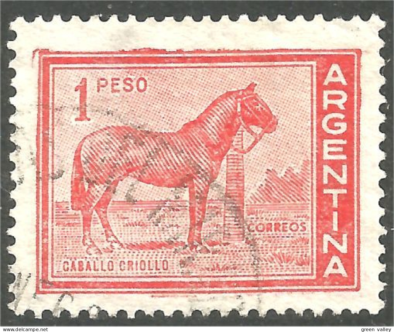 CH-3 Argentina Cheval Horse Pferd Caballo Cavallo Paard - Cavalli