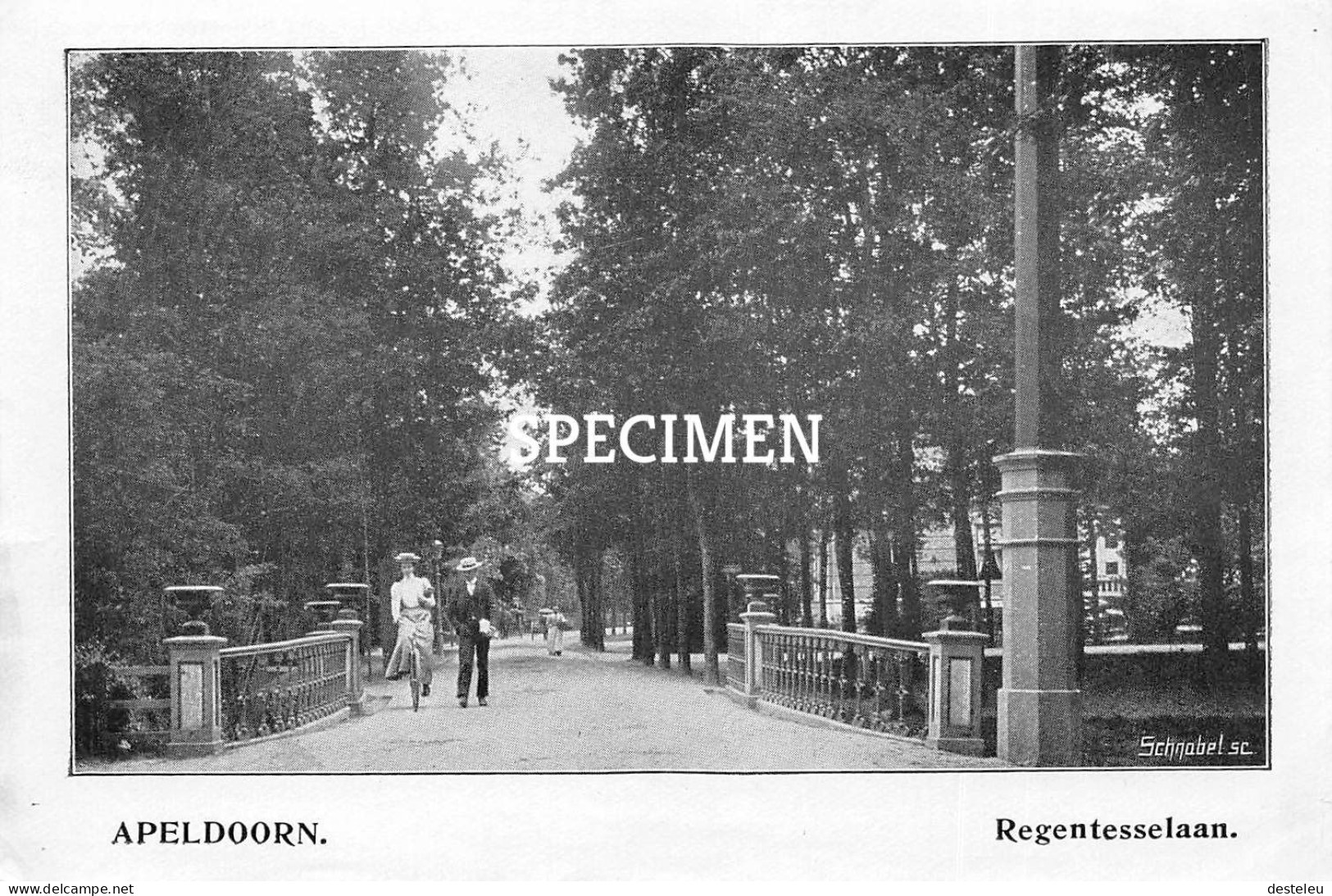 Prent - Regentesselaan - Apeldoorn  - 8.5x12.5 Cm - Apeldoorn