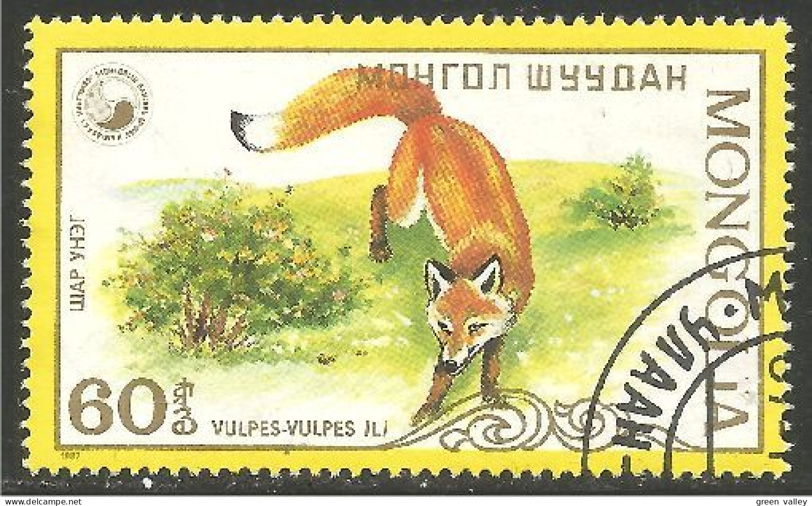 DG-31 Mongolie Renard Fox Fuchs Volpe Raposa Zorro Vos - Honden