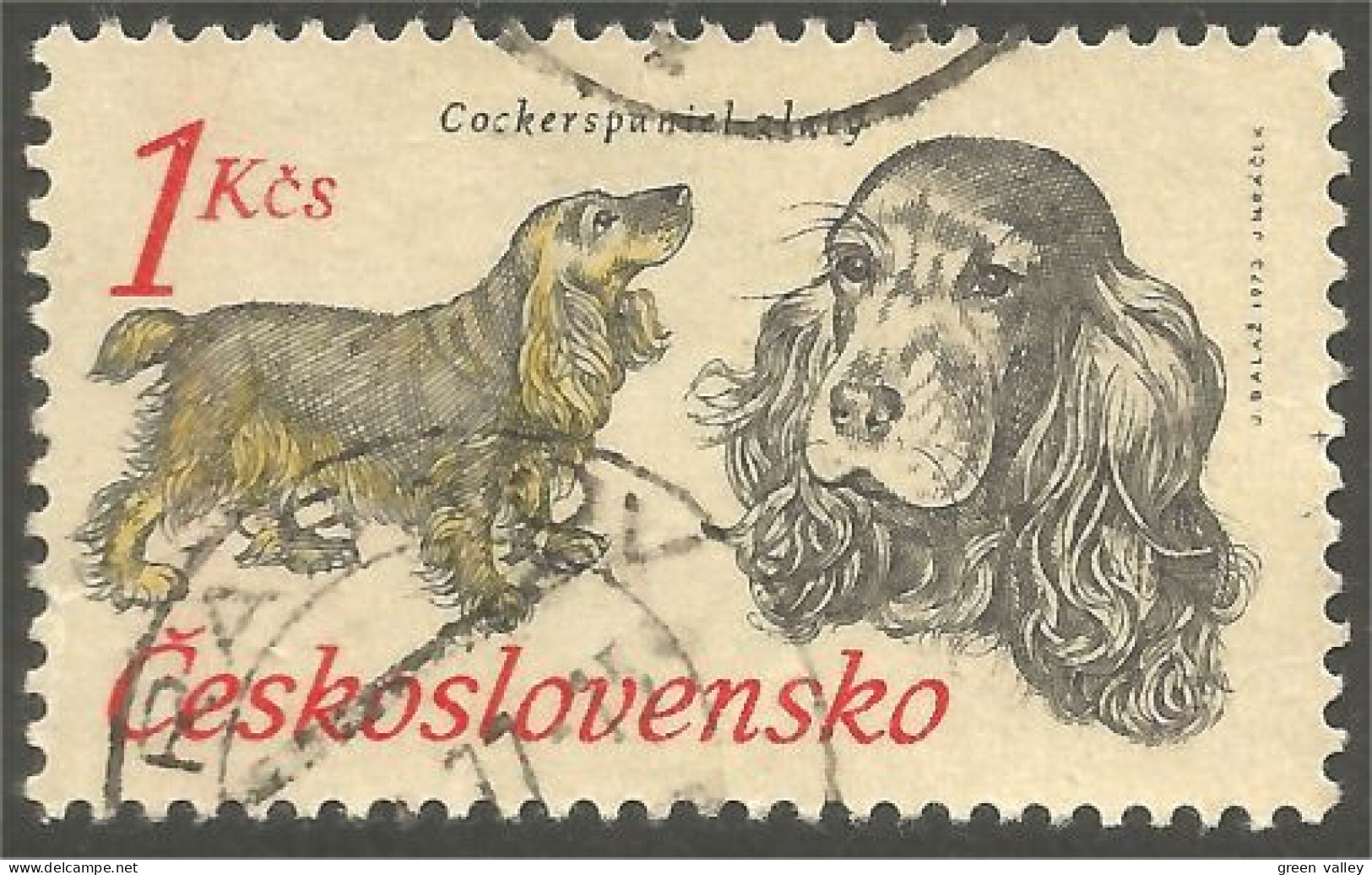 DG-9 Ceskoslovenko Cocker Spaniel Chien Dog Hund Cane Hond Perro - Cani