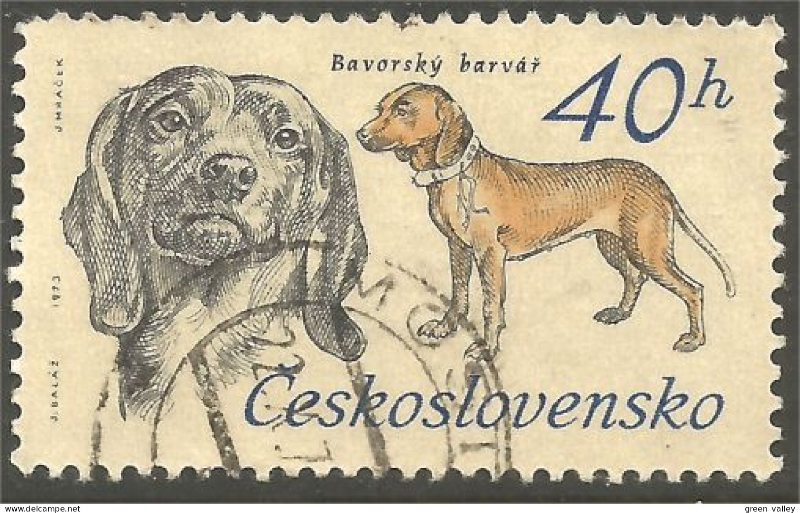 DG-5 Ceskoslovenko Bavarois Chien Dog Hund Cane Hond Perro - Hunde