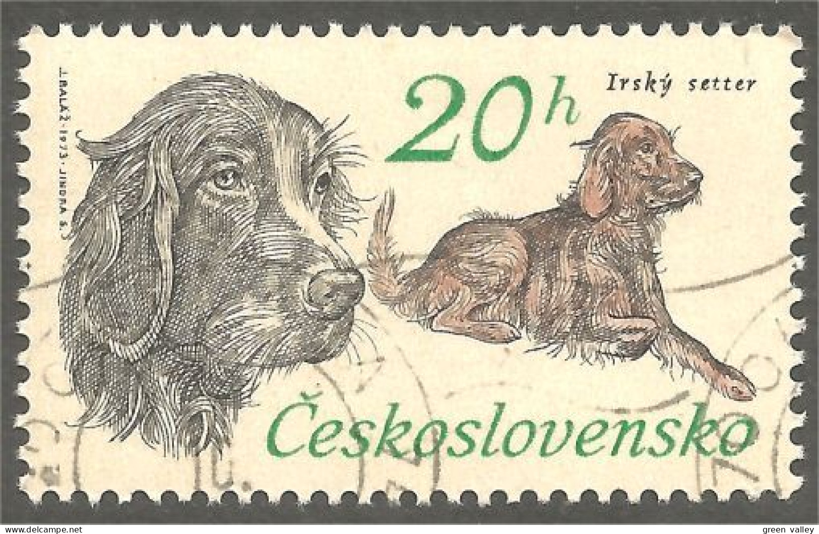 DG-2 Ceskoslovenko Setter Chien Dog Hund Cane Hond Perro - Cani