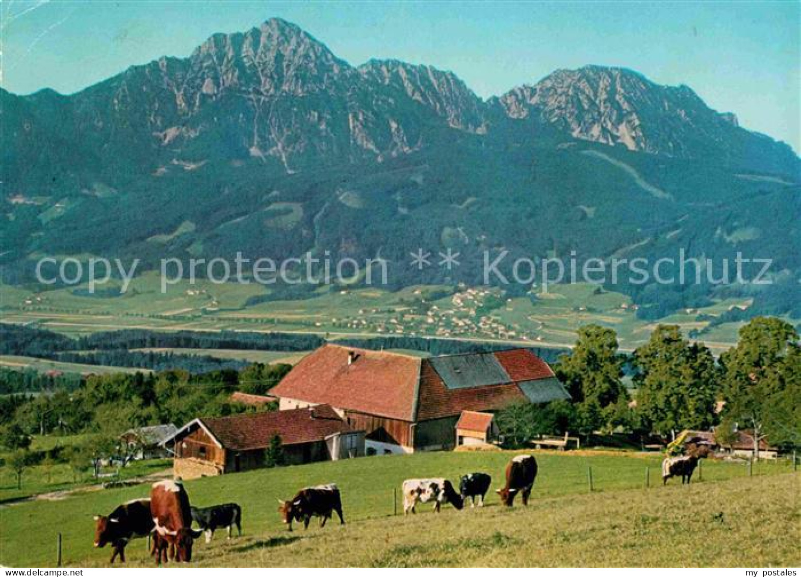 72837464 Anger Chiemgau Stroblalm Hochstaufen Zwiesel  Anger - Otros & Sin Clasificación