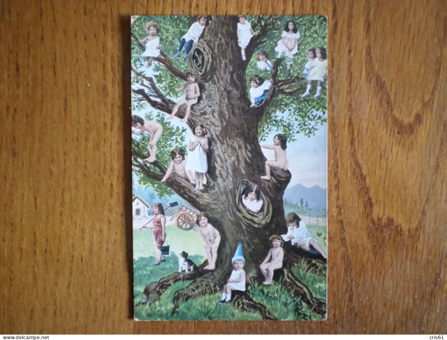 ENFANTS DANS UN ARBRE - Groupes D'enfants & Familles