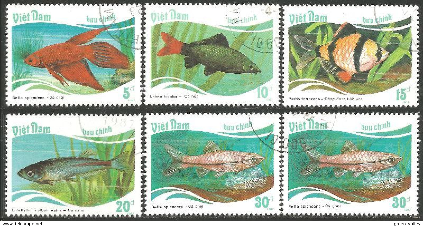 FI-74a Vietnam Aquarium Poisson Fish Fisch Pesce Pescado Peixe Vis - Viêt-Nam