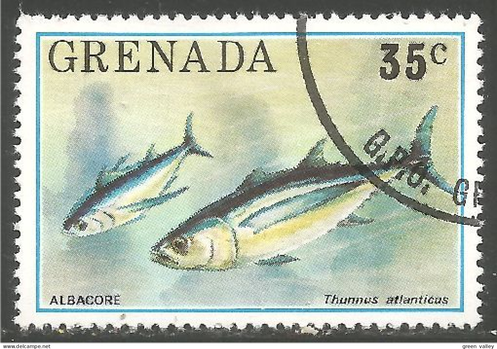 FI-77b Grenada Thon Albacore Tuna Tonijn Thunfisch Tonno Atun Atum - Alimentación