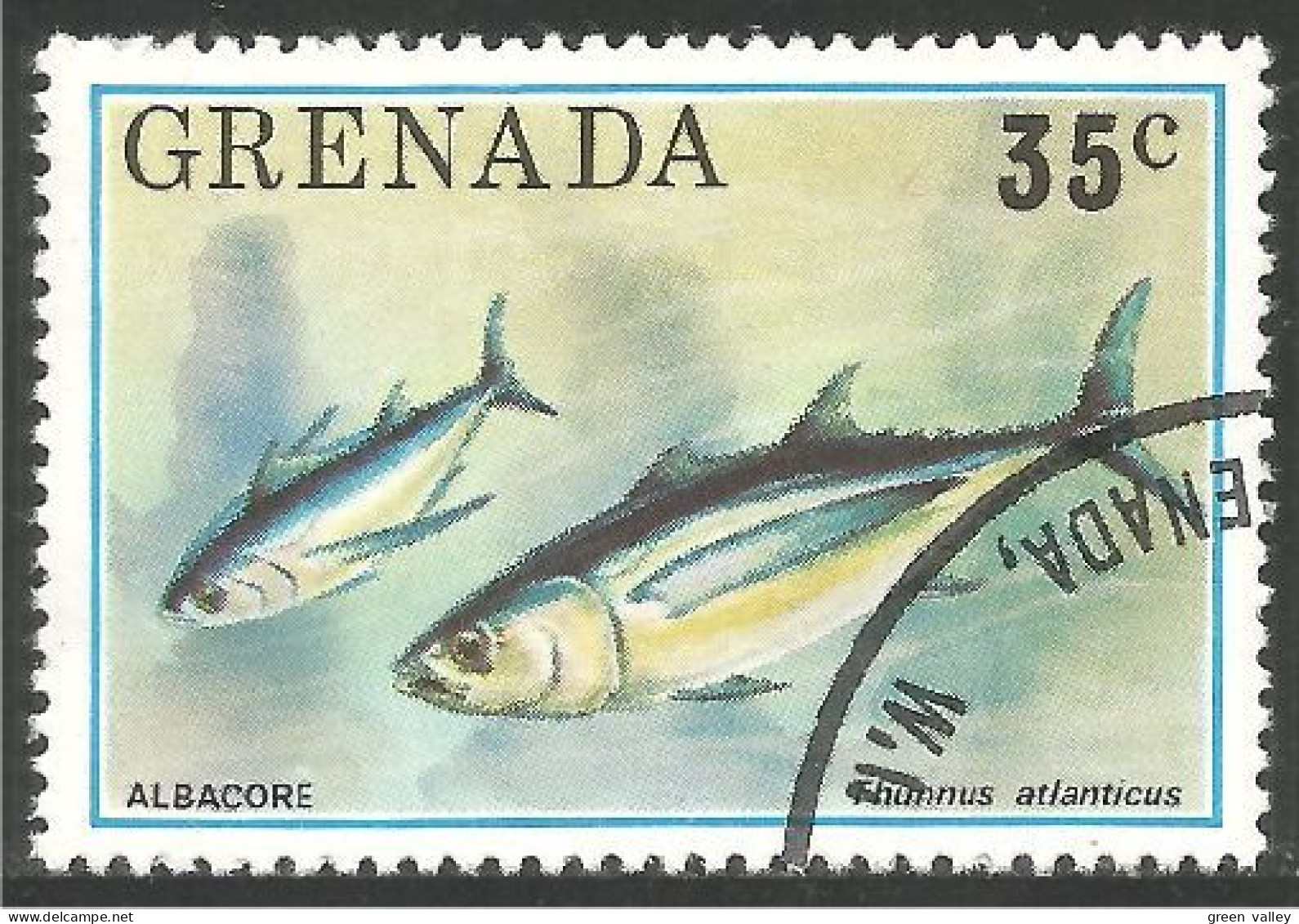 FI-77d Grenada Thon Albacore Tuna Tonijn Thunfisch Tonno Atun Atum - Alimentación