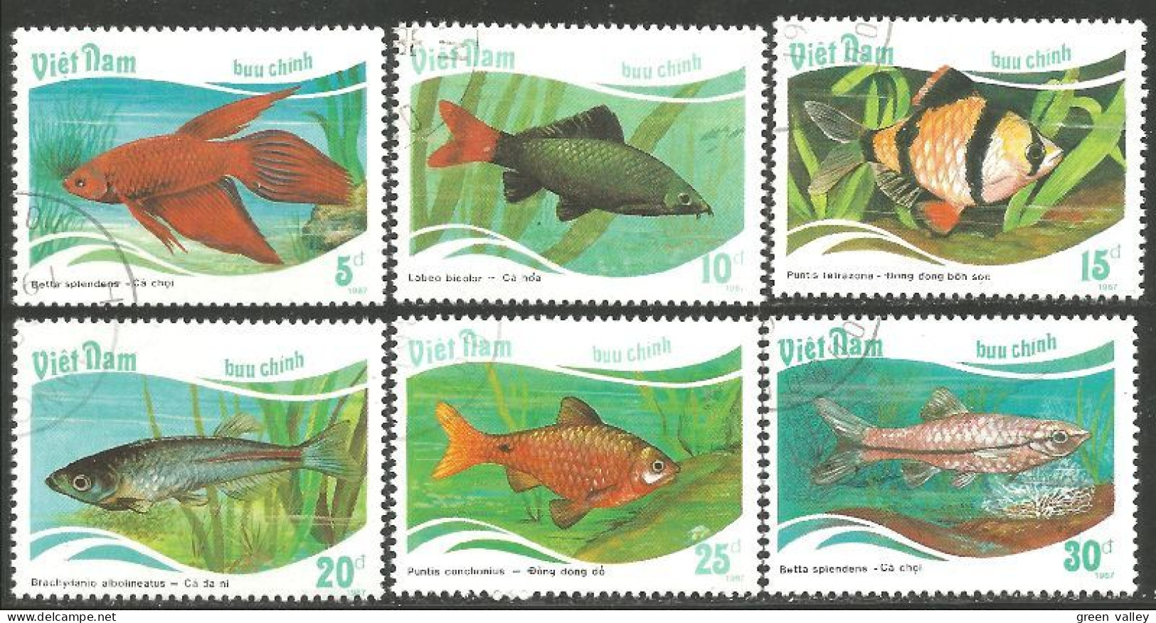 FI-74b Vietnam Aquarium Poisson Fish Fisch Pesce Pescado Peixe Vis - Pesci