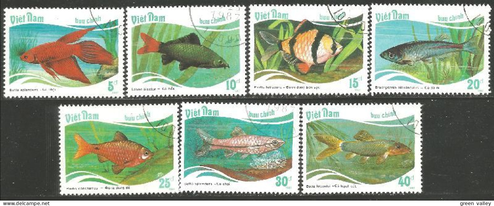 FI-73b Vietnam Aquarium Poisson Fish Fisch Pesce Pescado Peixe Vis - Pesci