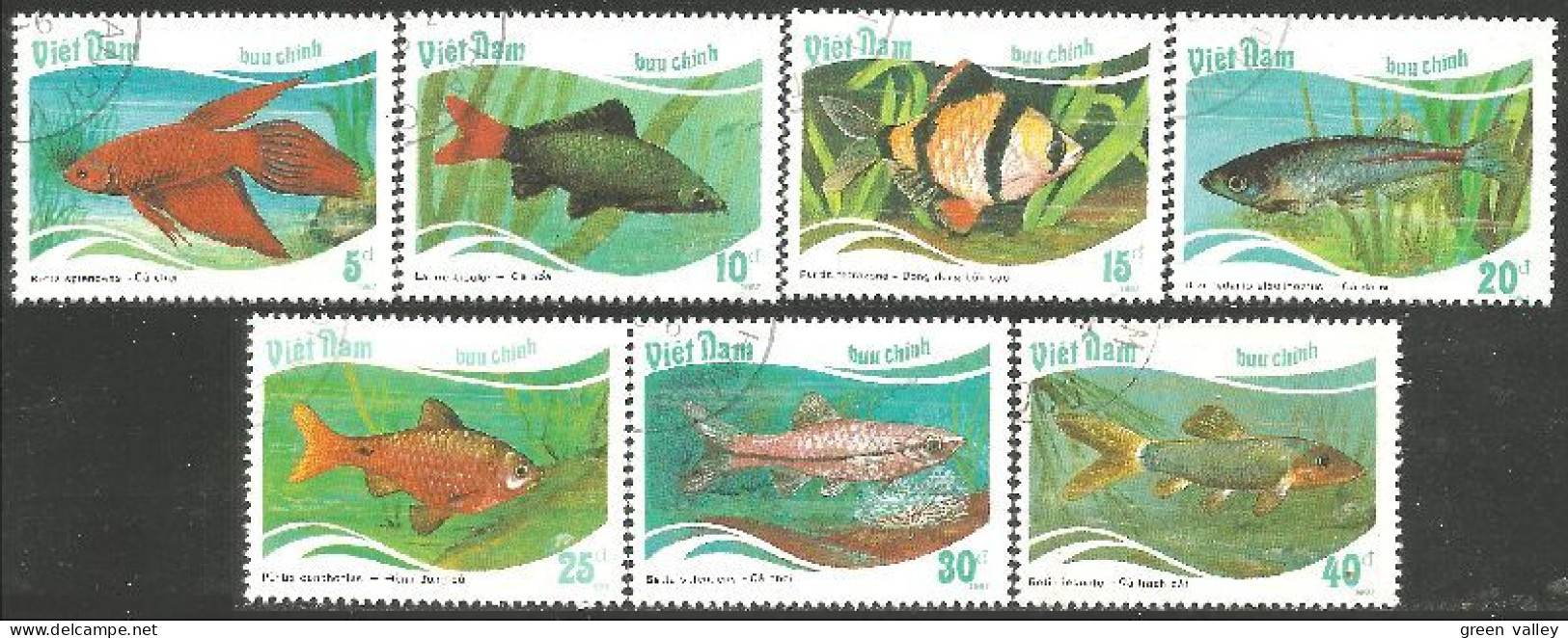 FI-73a Vietnam Aquarium Poisson Fish Fisch Pesce Pescado Peixe Vis - Vietnam