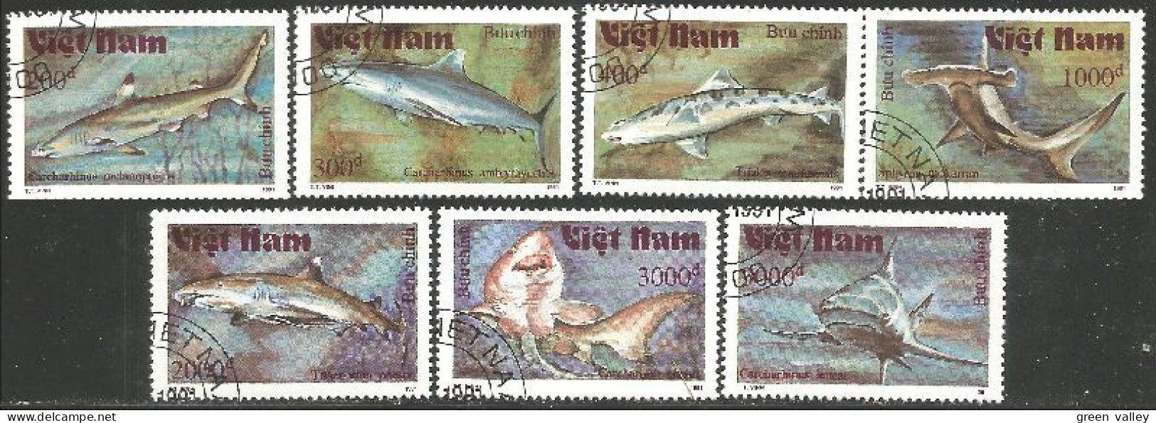 FI-72a Vietnam Requins Sharks Poisson Fish Fisch Pesce Pescado Peixe Vis - Viêt-Nam