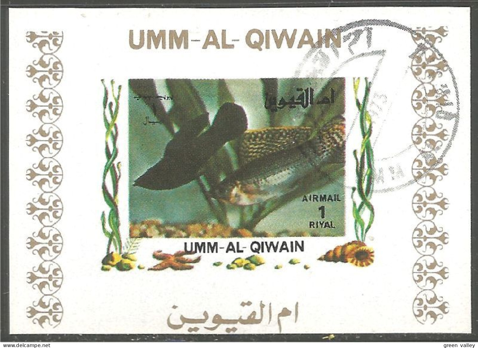 FI-64b Um Al Qiwain Feuillet Poisson Fish Fisch Pesce Pescado Peixe Vis Sheet - Vie Marine