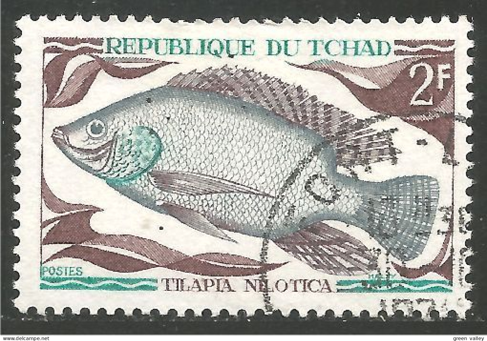 FI-50 Tchad Poisson Fish Fisch Pesce Pescado Peixe Vis - Pesci