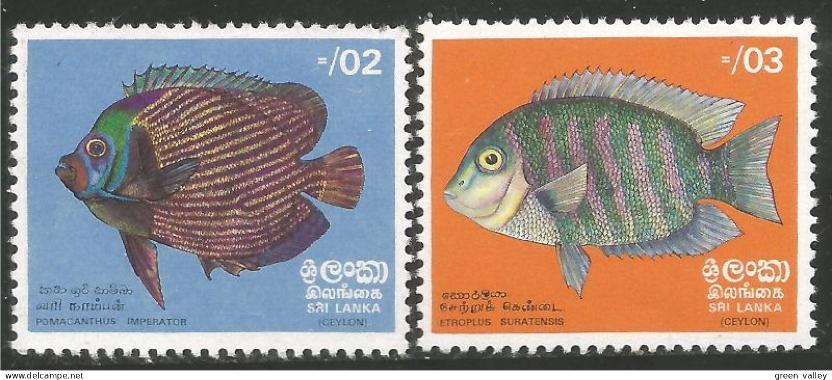 FI-47 Sri Lanka Poisson Fish Fisch Pesce Pescado Peixe Vis MNH ** Neuf SC - Pesci