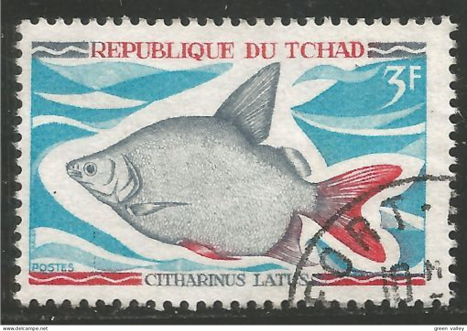 FI-49 Tchad Poisson Fish Fisch Pesce Pescado Peixe Vis - Pesci