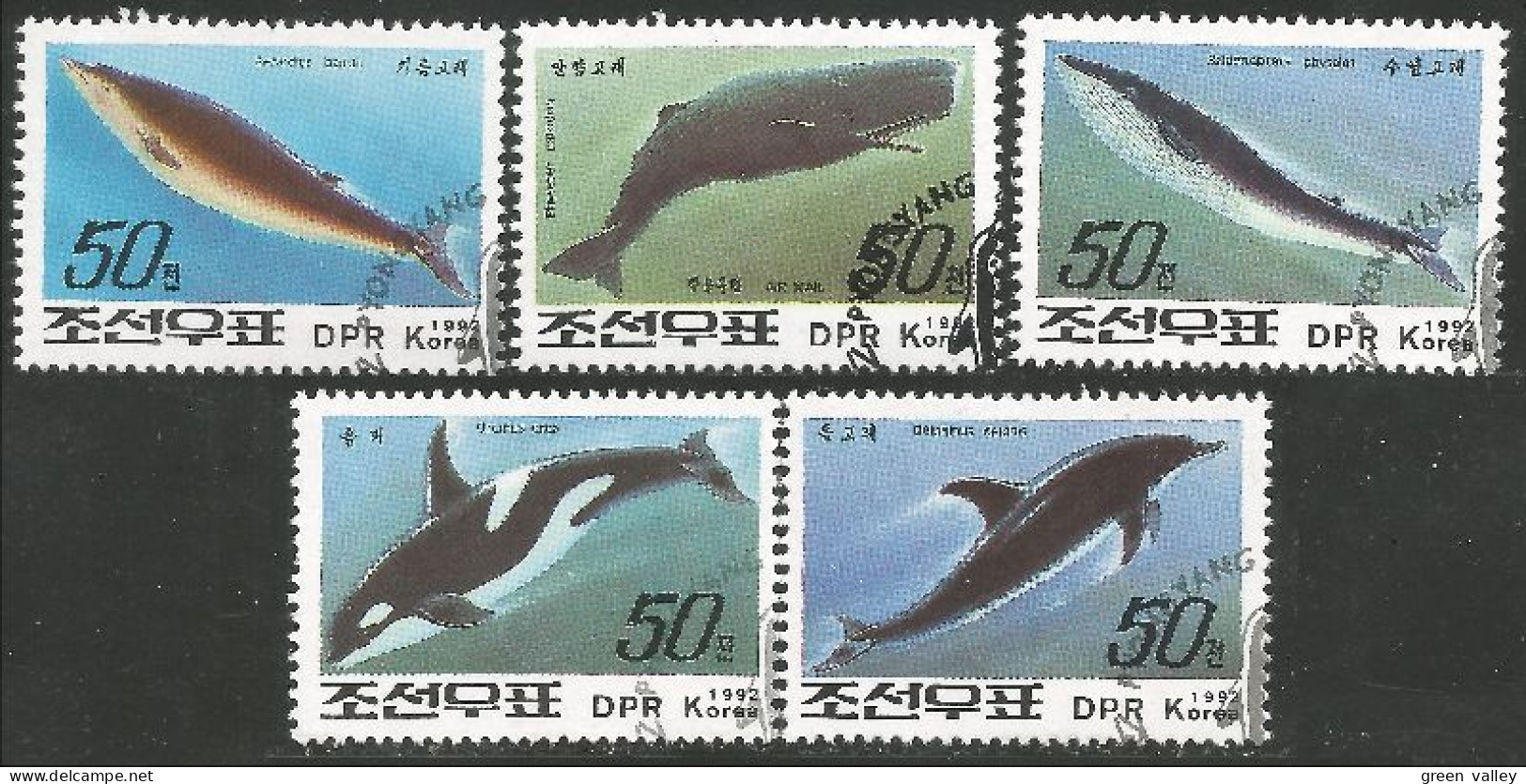FI-32a Corée Baleine Dauphin Whale Dolphin Wal Delphin Balena Delfino - Dolfijnen