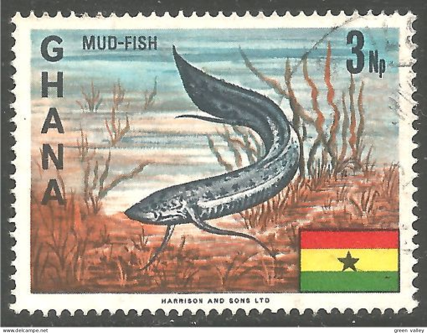 FI-17 Ghana Mud-fish Poisson Fish Fisch Pesce Pescado Peixe Vis - Fishes