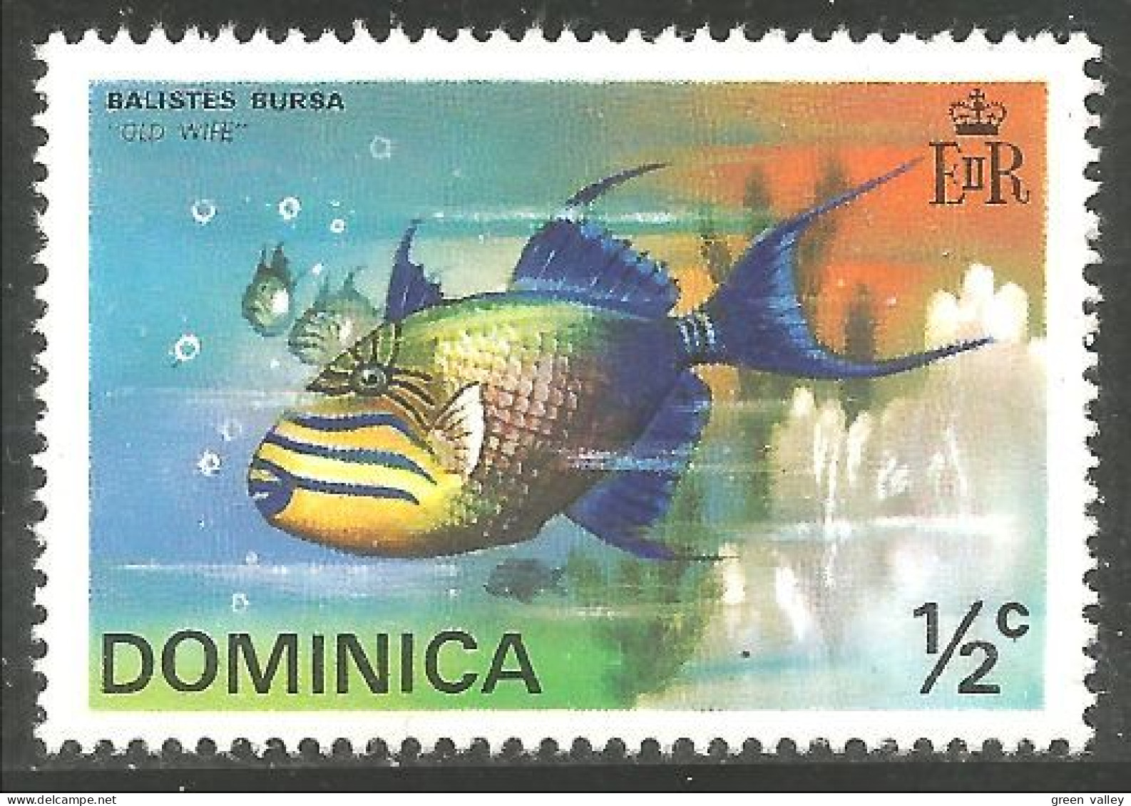 FI-12 Dominica Poisson Fish Fisch Pesce Pescado Peixe Vis MH * Neuf CH - Poissons