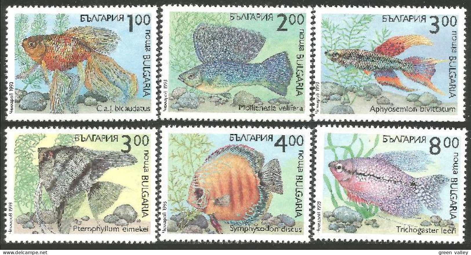 FI-2 Bulgarie Aquarium Poisson Fish Fisch Pesce Pescado Peixe Vis MNH ** Neuf SC - Pesci