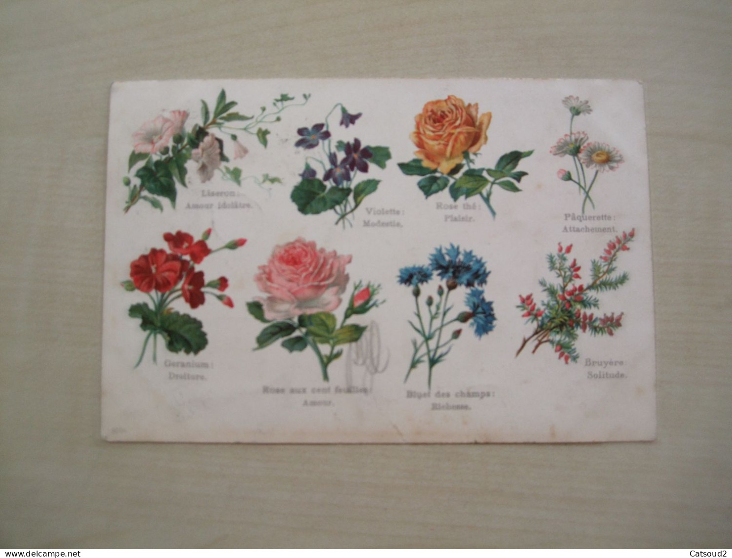 Carte Postale Ancienne FLEUR Le Langage Des Fleurs - Blumen