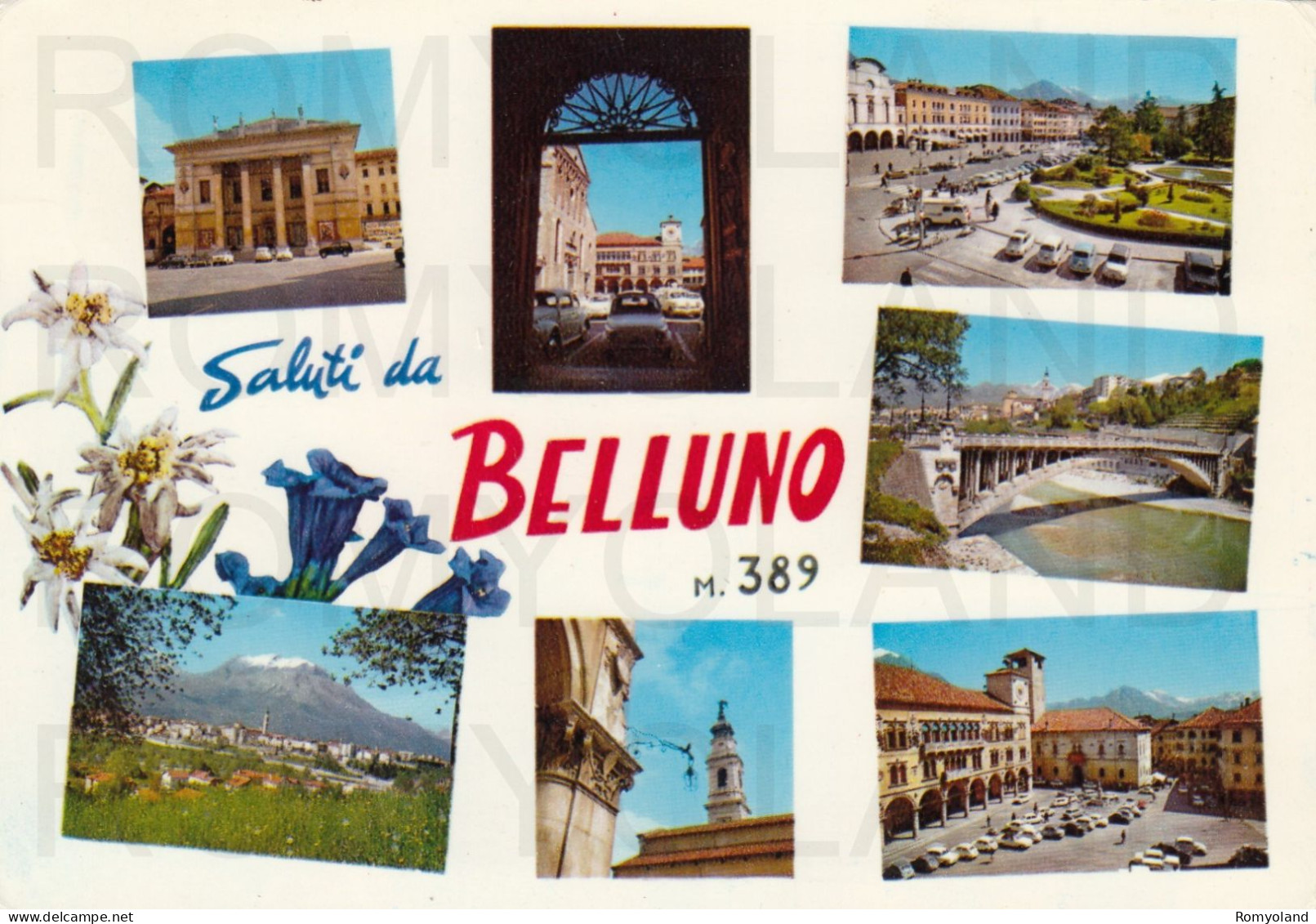 CARTOLINA  C14 BELLUNO M.389,VENETO-SALUTI DA BELLUNO-STORIA,MEMORIA,CULTURA,RELIGIONE,BELLA ITALIA,VIAGGIATA 1972 - Belluno