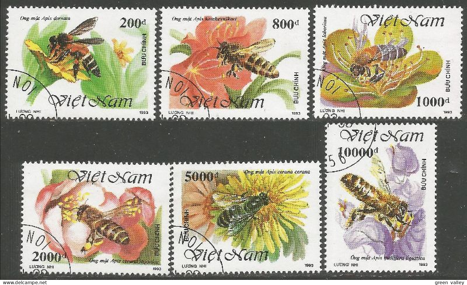 IN-74 Vietnam Abeille Miel Honey Bee Honig Biene Abeja Ape Miele Abelha - Viêt-Nam