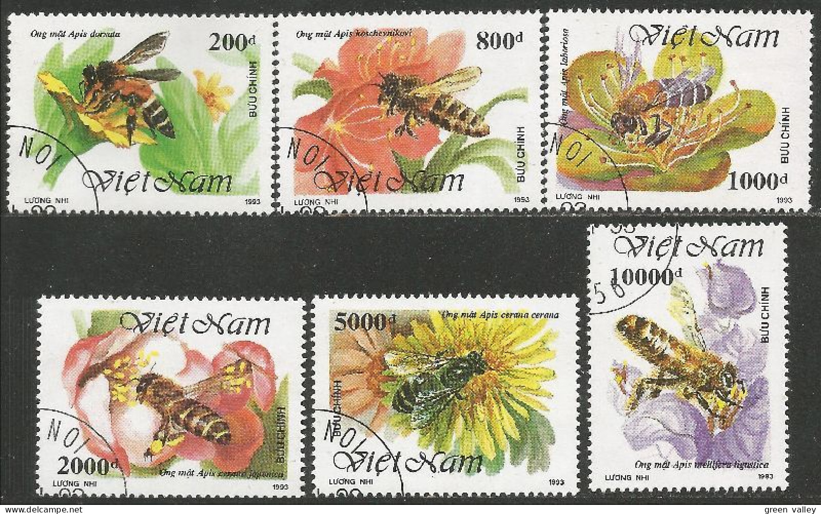 IN-76 Vietnam Abeille Miel Honey Bee Honig Biene Abeja Ape Miele Abelha - Honingbijen