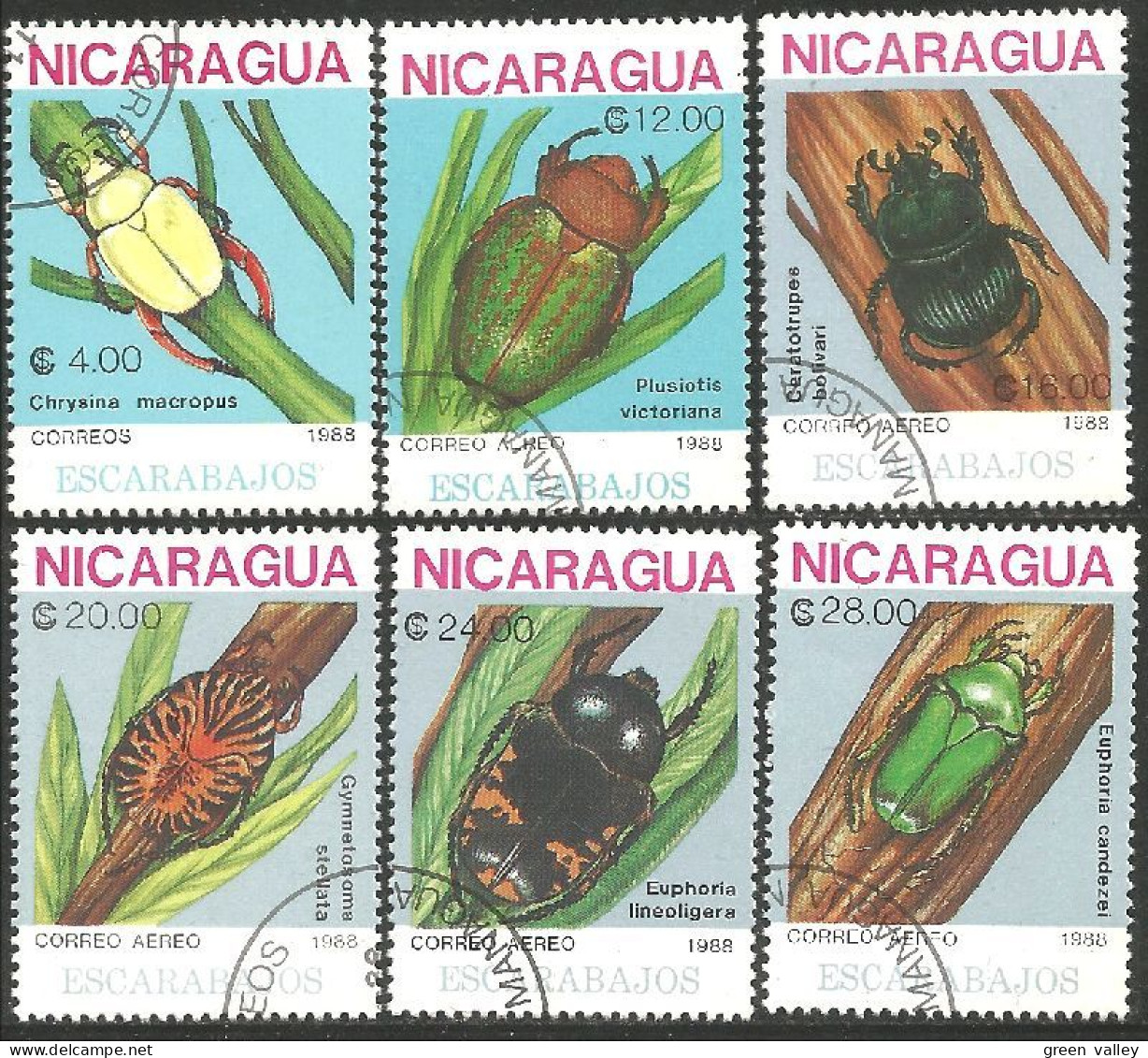 IN-73 Nicaragua Insecte Scarabée Beetle Skarabäus Scarabeo Escarabajo - Otros & Sin Clasificación