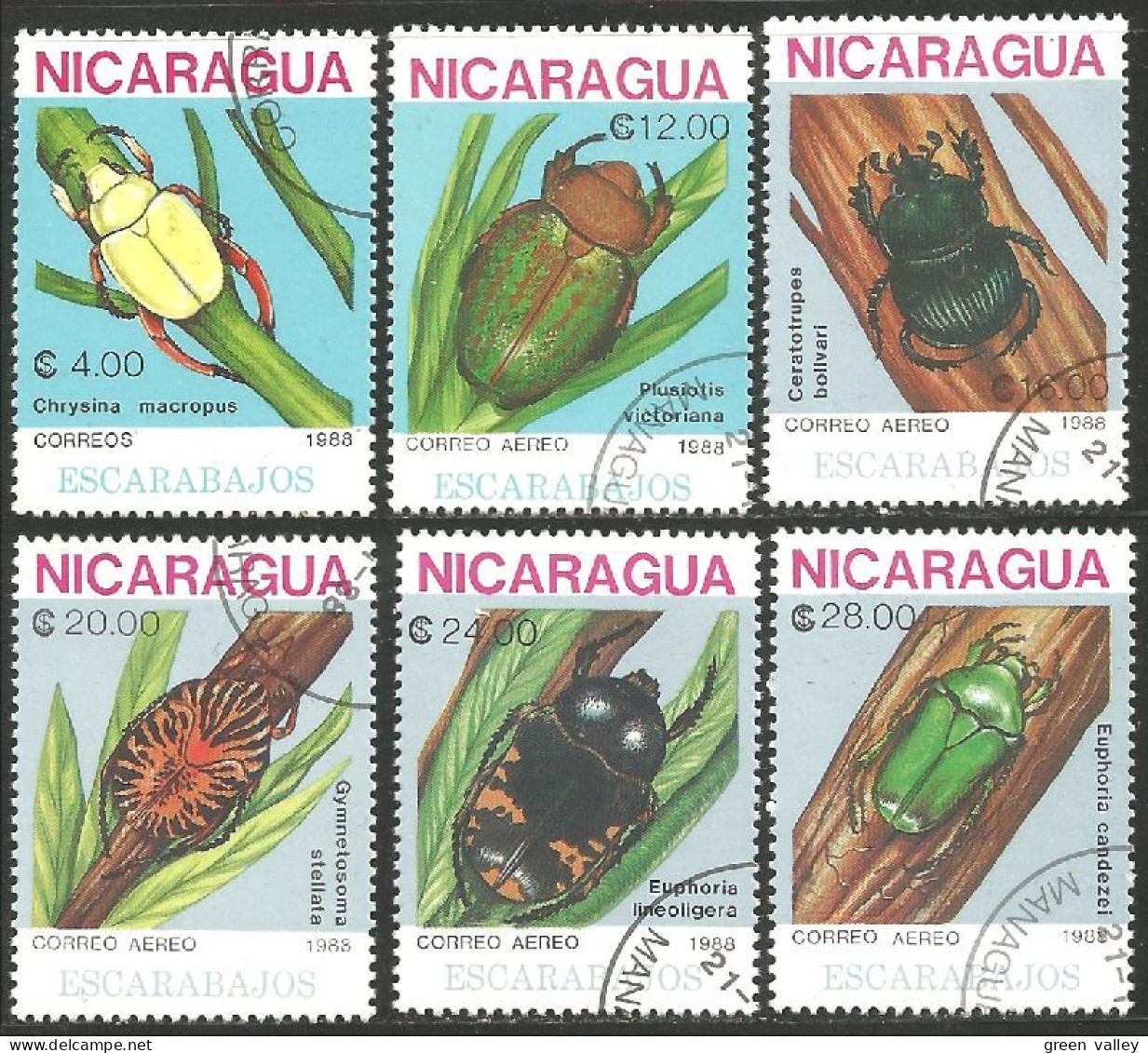 IN-72 Nicaragua Insecte Scarabée Beetle Skarabäus Scarabeo Escarabajo - Otros & Sin Clasificación