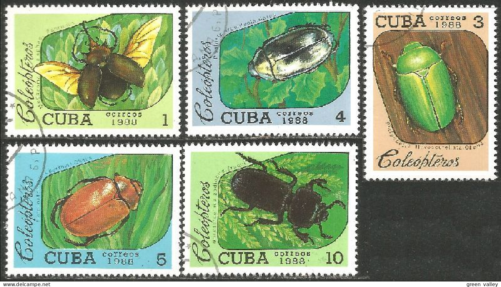 IN-70 Cuba Insecte Scarabée Beetle Skarabäus Scarabeo Escarabajo - Autres & Non Classés