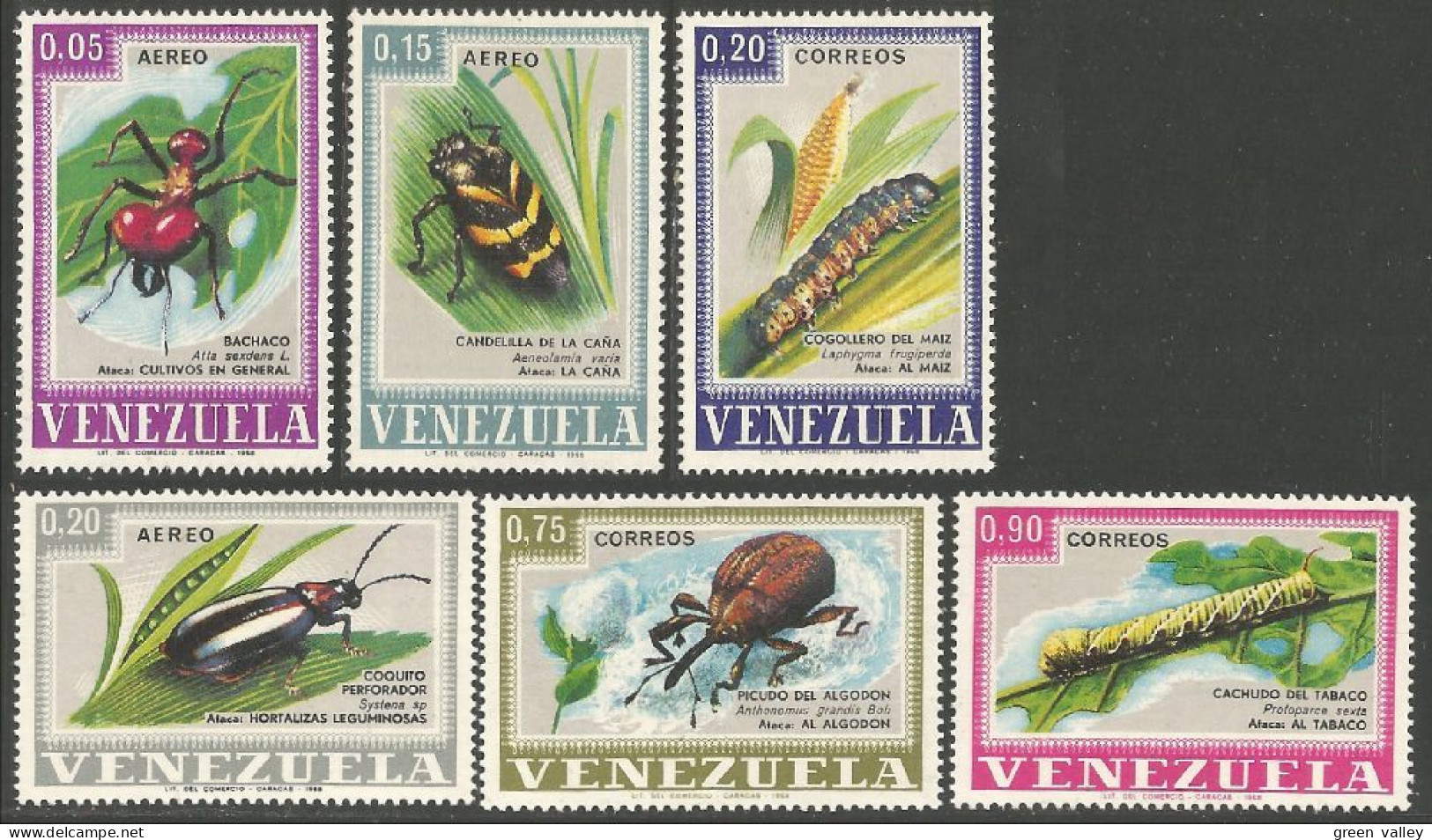 IN-69 Venezuela Insecte Insect Insekt Fourmi Ant Ameise Formica MNH ** Neuf SC - Andere & Zonder Classificatie