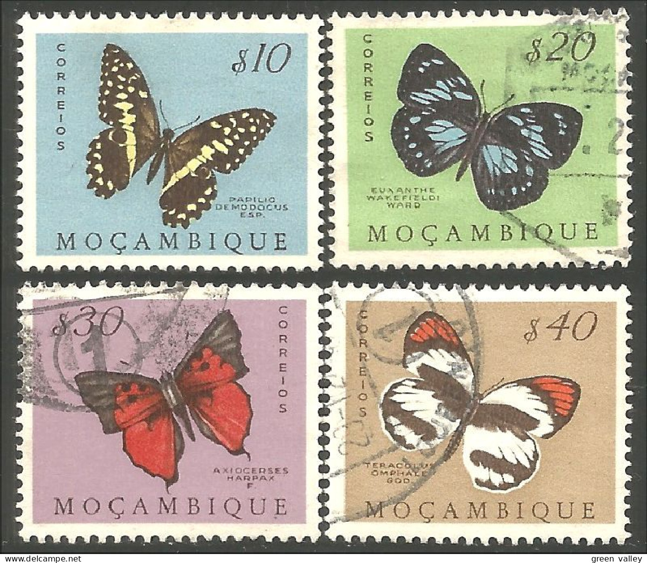IN-61 Mozambique Papillon Butterfly Butterflies Farfalla Mariposa Schmetterling Vlinder - Farfalle