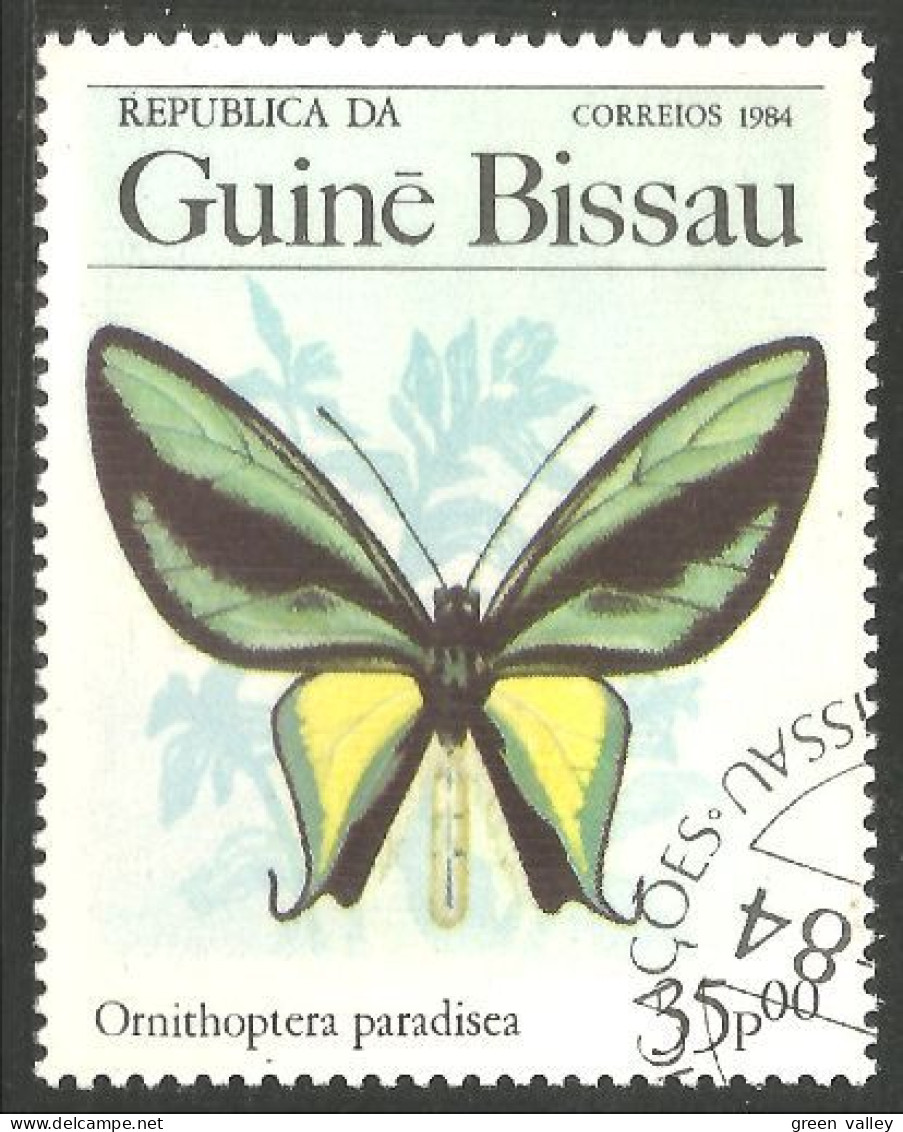 IN-55 Guinée Papillon Butterfly Butterflies Farfalla Mariposa Schmetterling Vlinder - Farfalle