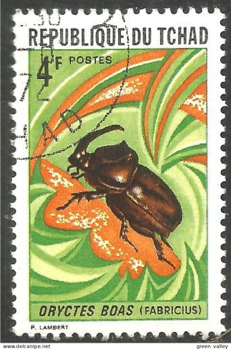 IN-50 Tchad Insecte Scarabée Beetle Skarabäus Scarabeo Escarabajo - Autres & Non Classés