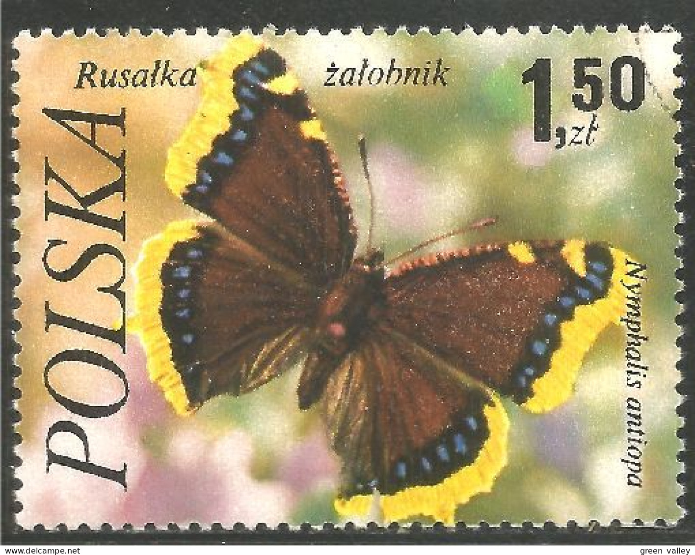 IN-54 Polska Papillon Butterfly Farfalla Mariposa Schmetterling MNH ** Neuf SC - Vlinders