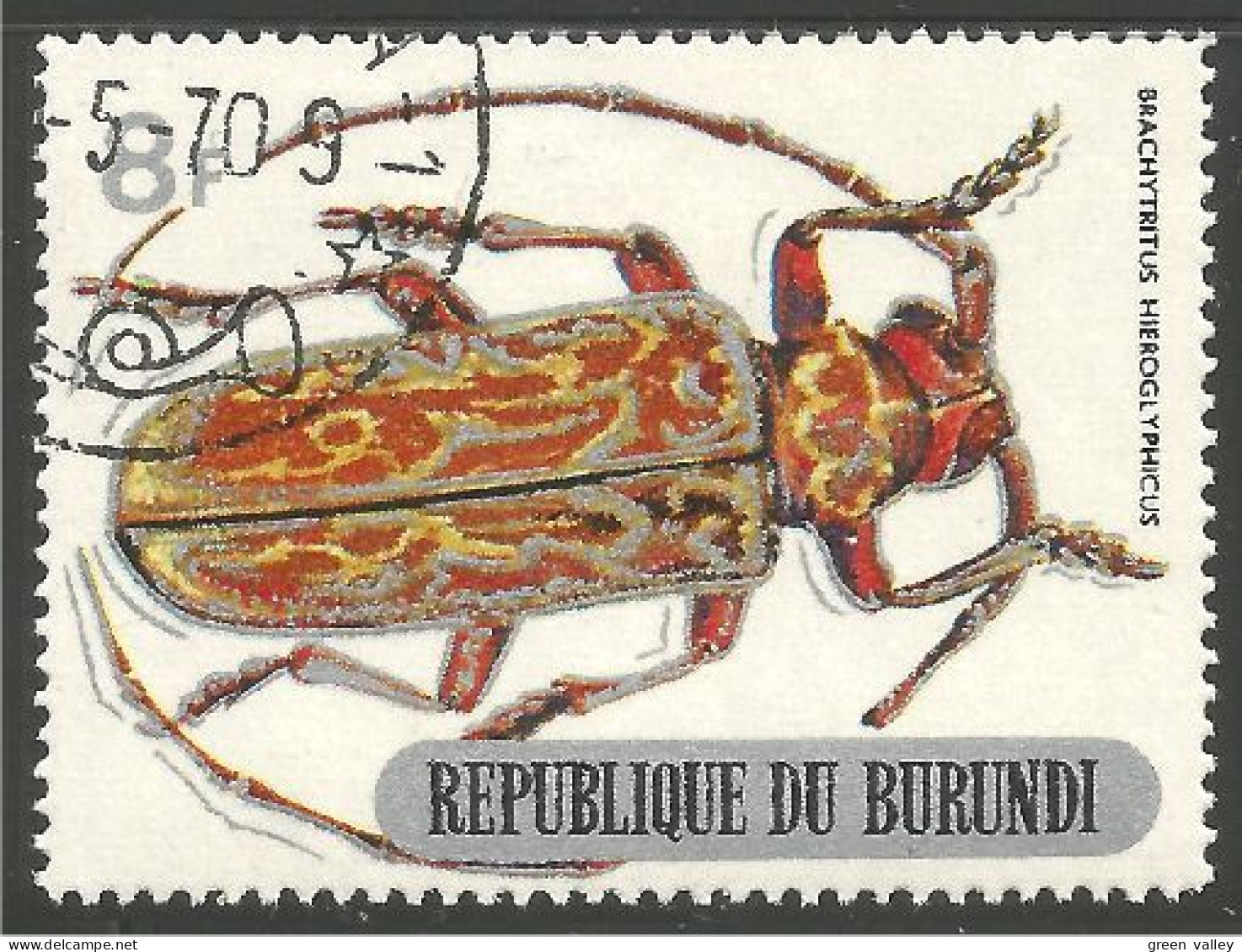 IN-46 Burundi Insecte Insect Insekt - Andere & Zonder Classificatie