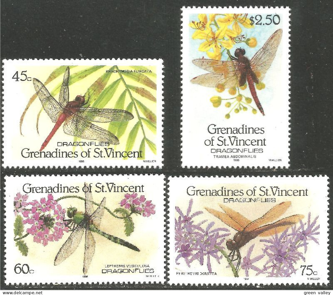 IN-52b Grenadines Libellule Dragonfly Libelula Libelle Libel MNH ** Neuf SC - Sonstige & Ohne Zuordnung