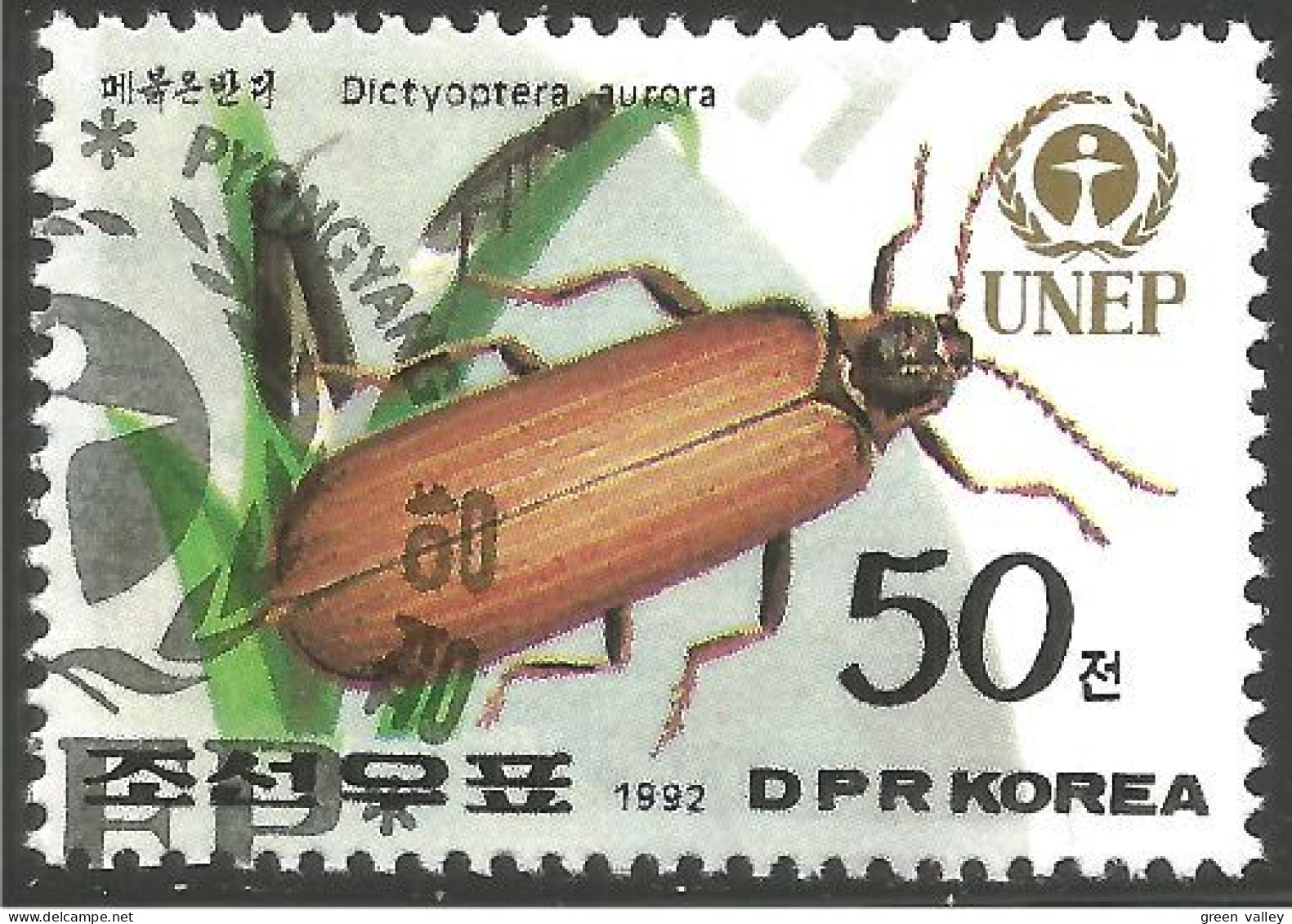 IN-40 Korea Insecte Insect Insekt - Andere & Zonder Classificatie