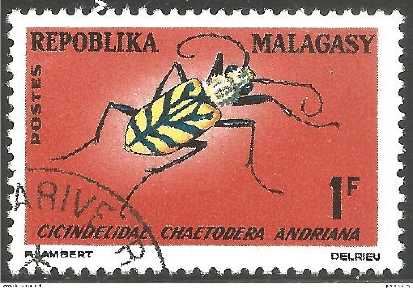 IN-39 Madagascar Insecte Insect Insekt - Andere & Zonder Classificatie