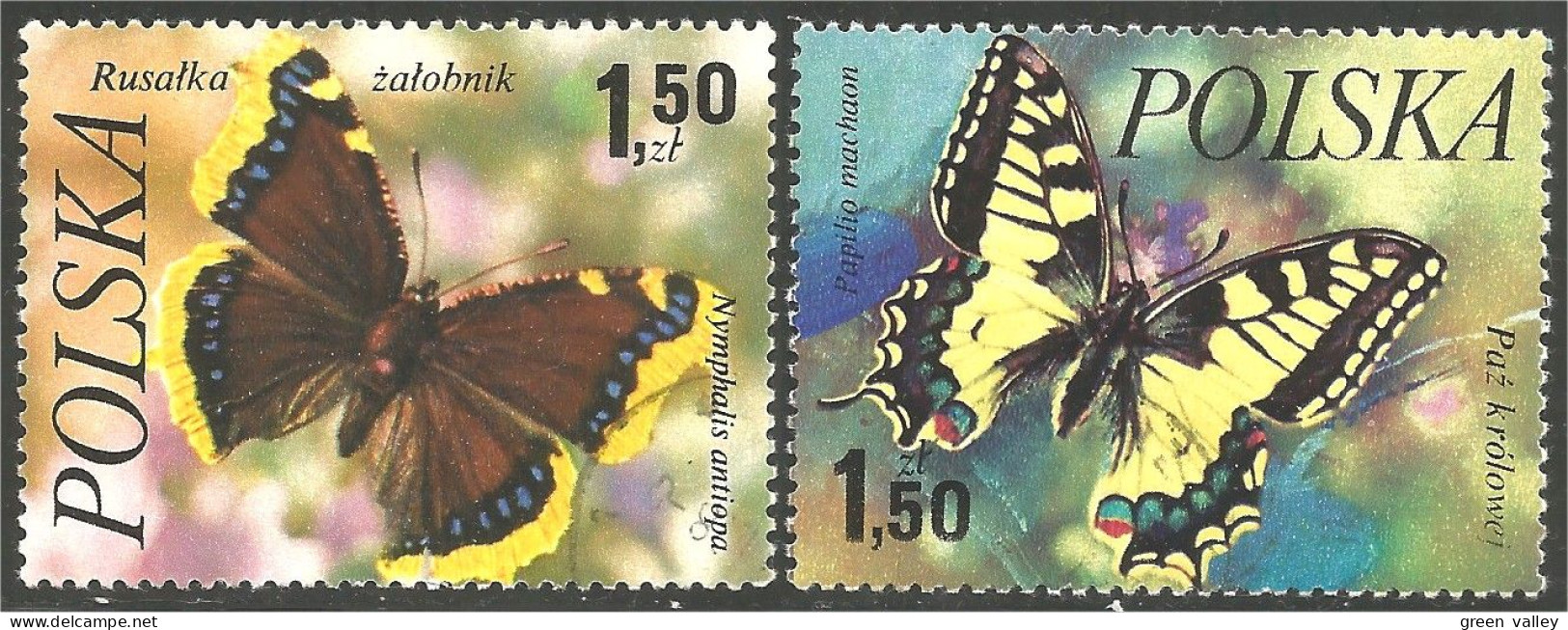 IN-28 Polska Papillon Butterfly Butterflies Farfalla Mariposa Schmetterling Vlinder - Papillons