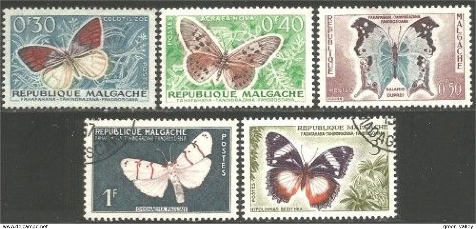 IN-24 Madagascar Papillon Butterfly Butterflies Farfalla Mariposa Schmetterling Vlinder - Vlinders